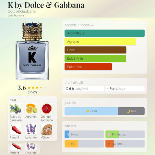 K by Dolce & Gabbana